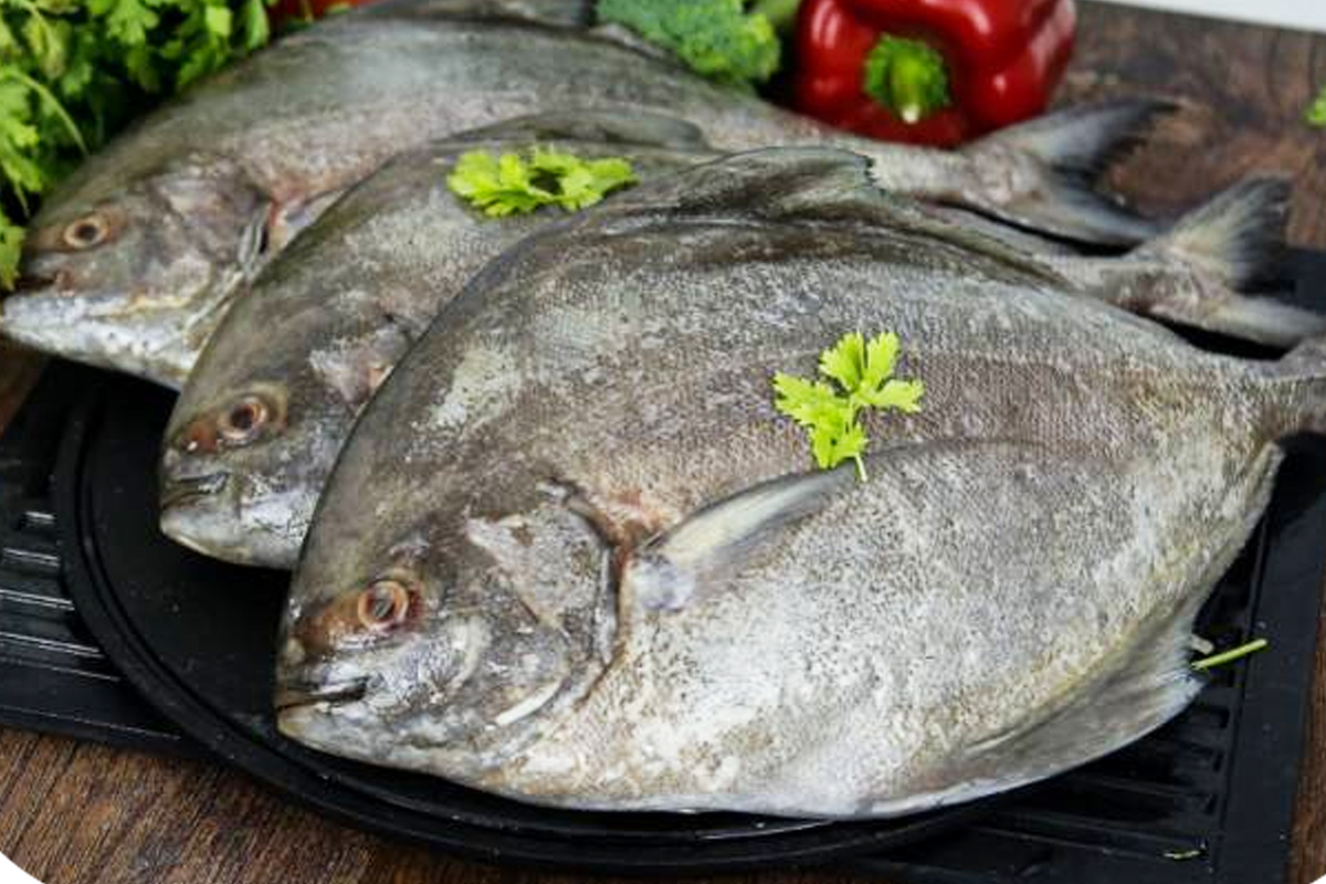 Avoli Fish