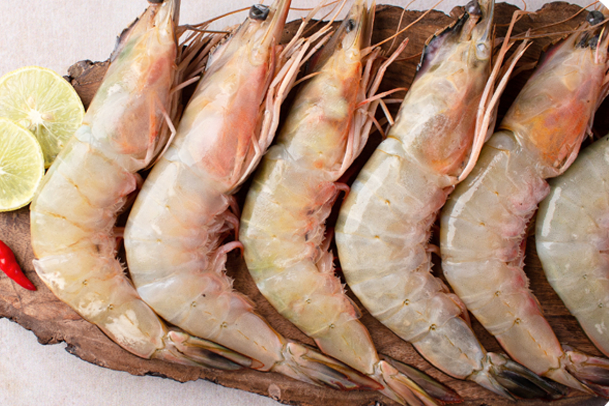 Prawns